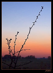 фото "заплутала"