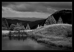 photo "b/w beauty"