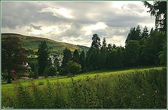 photo "Untitled photo"