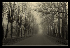 photo "Gloomy road"
