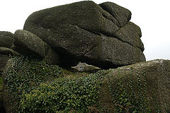 фото "Carn Brae"