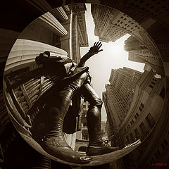фото "_"