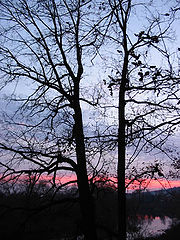 photo "Autumn. Dusk."