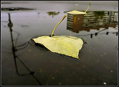 photo "The autumn ships"