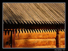photo "Gear shadow"