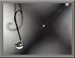 photo "Rain strings"