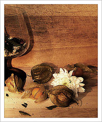 photo "Untitled photo"