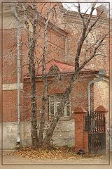 photo "Untitled photo"
