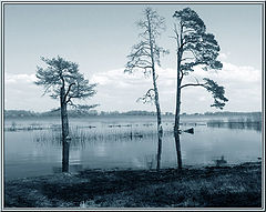 photo "Three sisters"