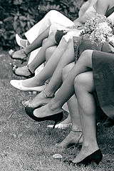 photo "Legs"
