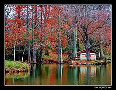 photo "Red Autumn"