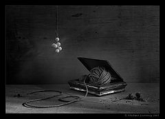 photo "Profound thoughts in my small head"