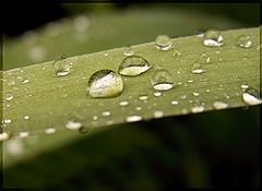 фото "..."