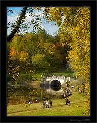 photo "Autumn in Pavlovsk park #4"