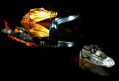 photo "At the night"
