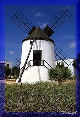 фото "°° white mill °°"