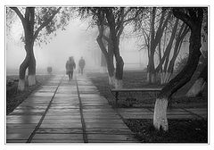 photo "Tuesday"