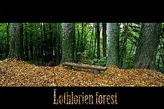 photo "Lothlorien Forest"