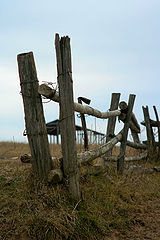 photo "***"