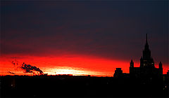 photo "Morning"