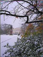 photo "First snow"