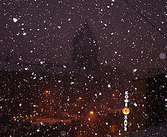photo "The First Snow!!!"