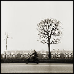 photo "***"