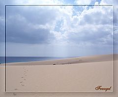 фото "Beautiful desert..."