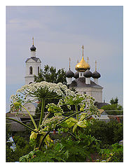 фото "Пасмурным днем"