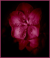фото "night&...."