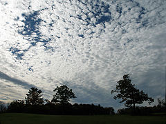 фото "The Sky"