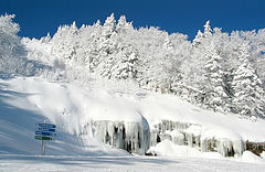 фото "Snow on the top"