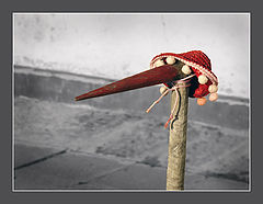 фото "Somebody"