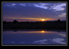 photo "Reflection"