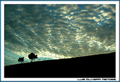 photo "solitudes"