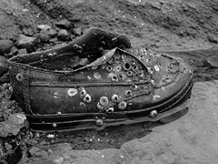 фото "Olvidado"