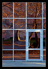 photo "White Door"