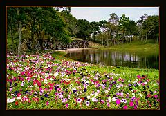 фото "Spring spirit #2"