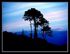 фото "day's close"
