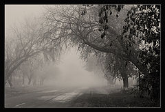 photo "Two siding of the road"