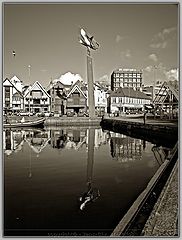 фото "The Shrimp"