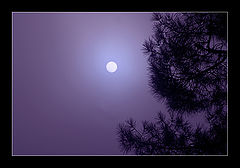 photo "My private moonlight"