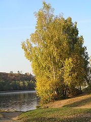 photo "Autumn"