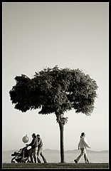 photo "Existence"