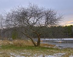 photo "let's start passing the winter..."