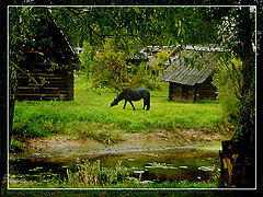 photo "I open in the morning of an eye, and before me a h"