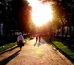 photo "Summer for two"