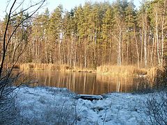 photo "The first frost"
