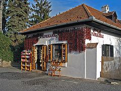 photo "Paprika Store"