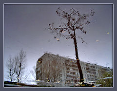 фото "Дождливое отражение....."